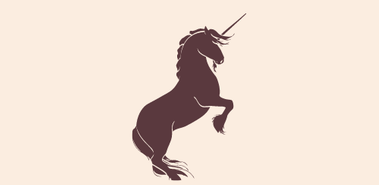 Horsie Power energetic therapy